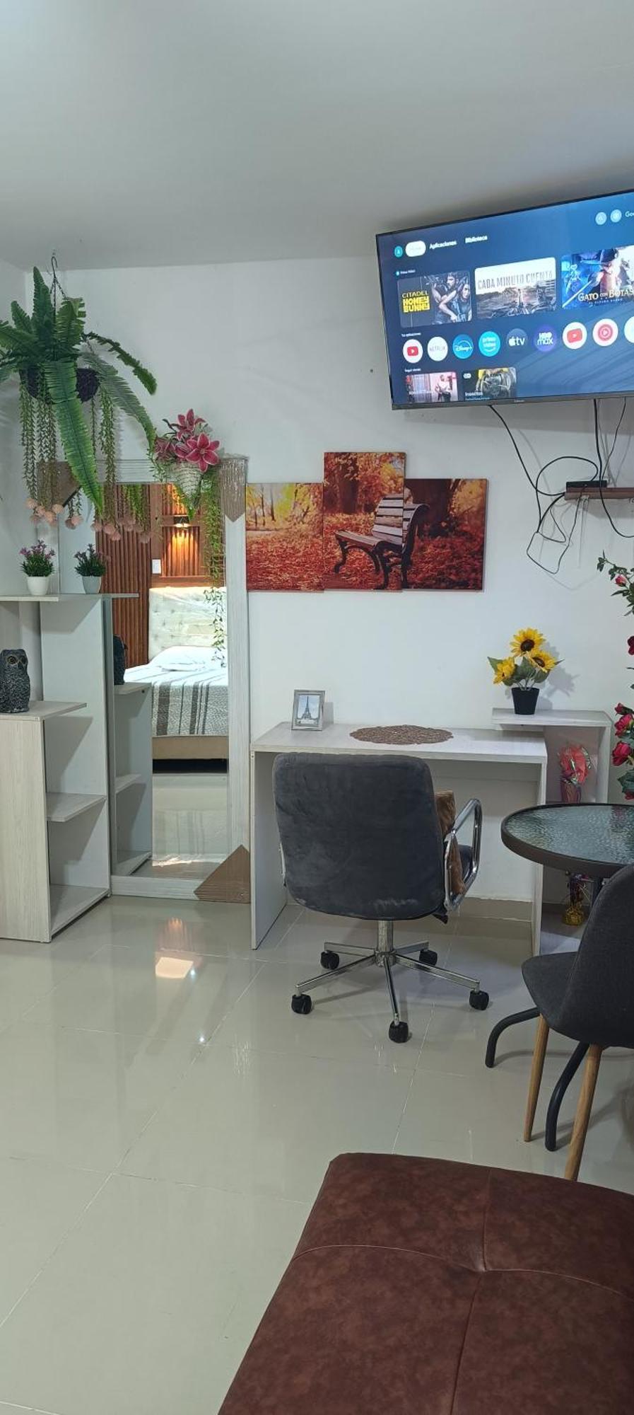 Apartment Aleli Comodo Apart/std, Aero/pto,t/nal De Transporte *